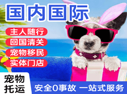 甘孜格萨尔航空托运国际宠物托运 【国